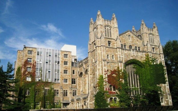 law school enrollment