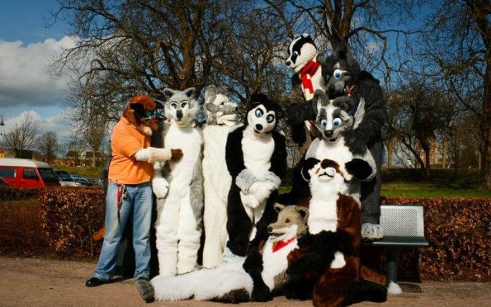 furry_fandom-compressed furry fandom