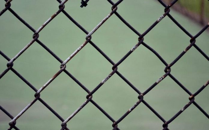 chain link fence sex