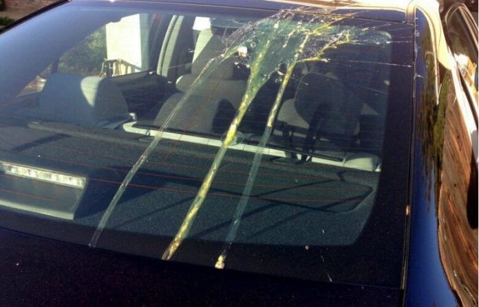 egged car