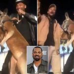 Top 10 Celebrity Apologies of 2017