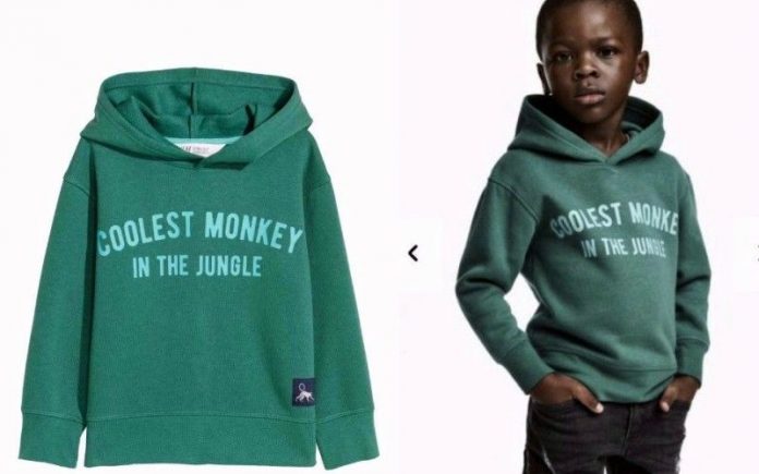 monkeyhoodie-compressed Monkey Hoodie