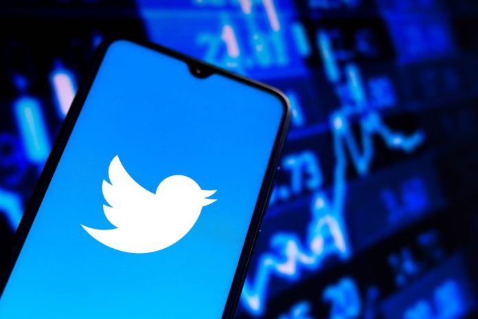 Lawyers Sue Twitter for Breach of Contract After Being Kicked Off the Platform Following Elon Musk's Amnesty Tweet twitter