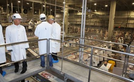 U.S. Department of Labor Investigates Alleged Employment of Minors in Meat Processing Plants