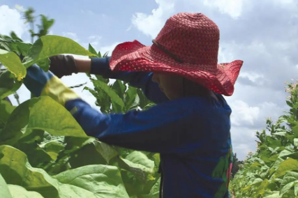 Tougher Remedies for Child Labor Violations